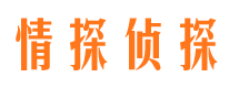 云安侦探公司